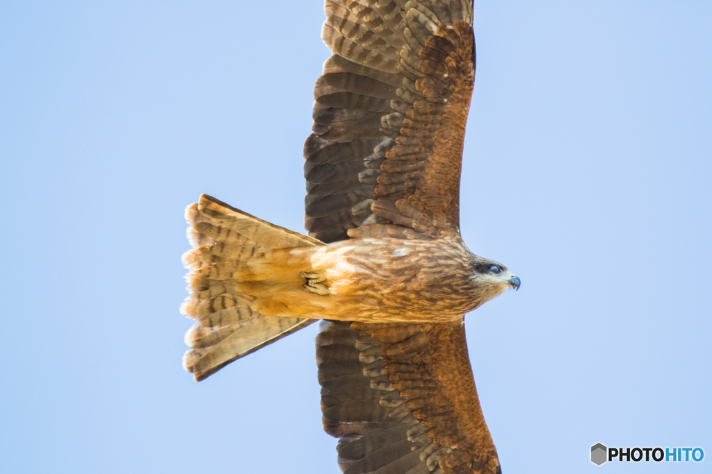 急に来られても・・・