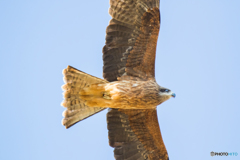 急に来られても・・・