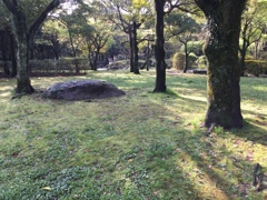 桜も散りかけて