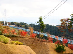 三島スカイウォーク