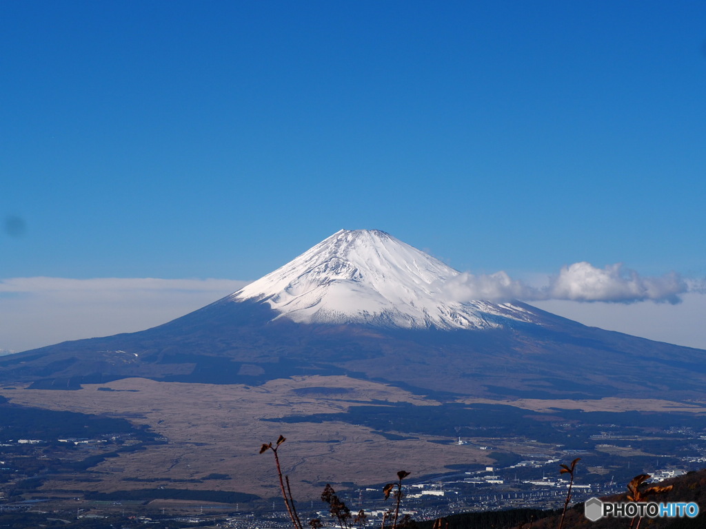 富士山