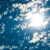 初夏の日差し