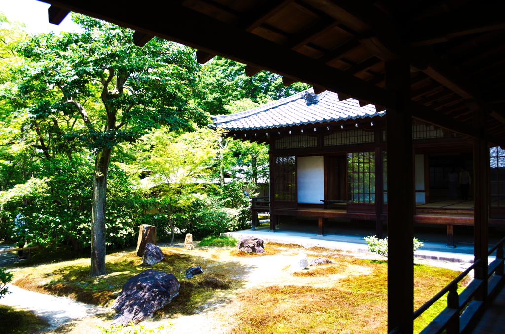 庭園