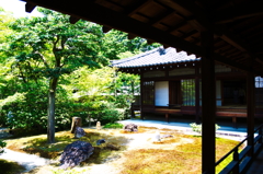庭園