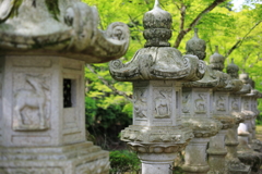 鹿