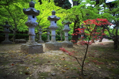 紅葉