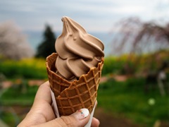 ショコラソフトクリーム