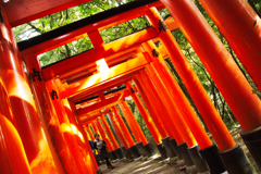 千本鳥居