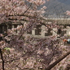 小さな花束作りましょう
