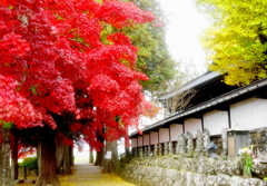 「真紅のモミジと地蔵尊」