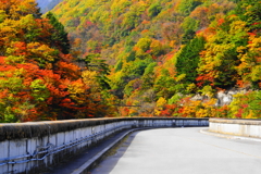 「ダム湖の紅葉」