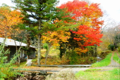 里山の秋