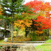 里山の秋