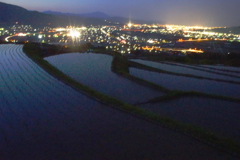 「長野市善光寺平の夜景」