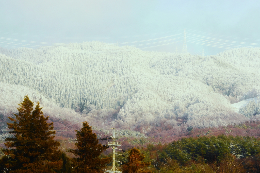 「田舎暮らしの寒波襲来」