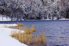 「中綱湖冬景」その２