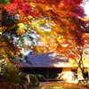 「釜井庵の秋」