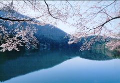 「飯山市北竜湖の春」