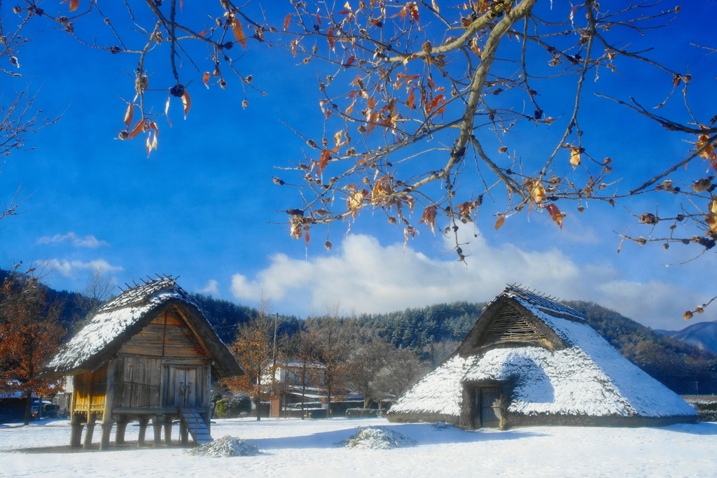 「悠久の情景」