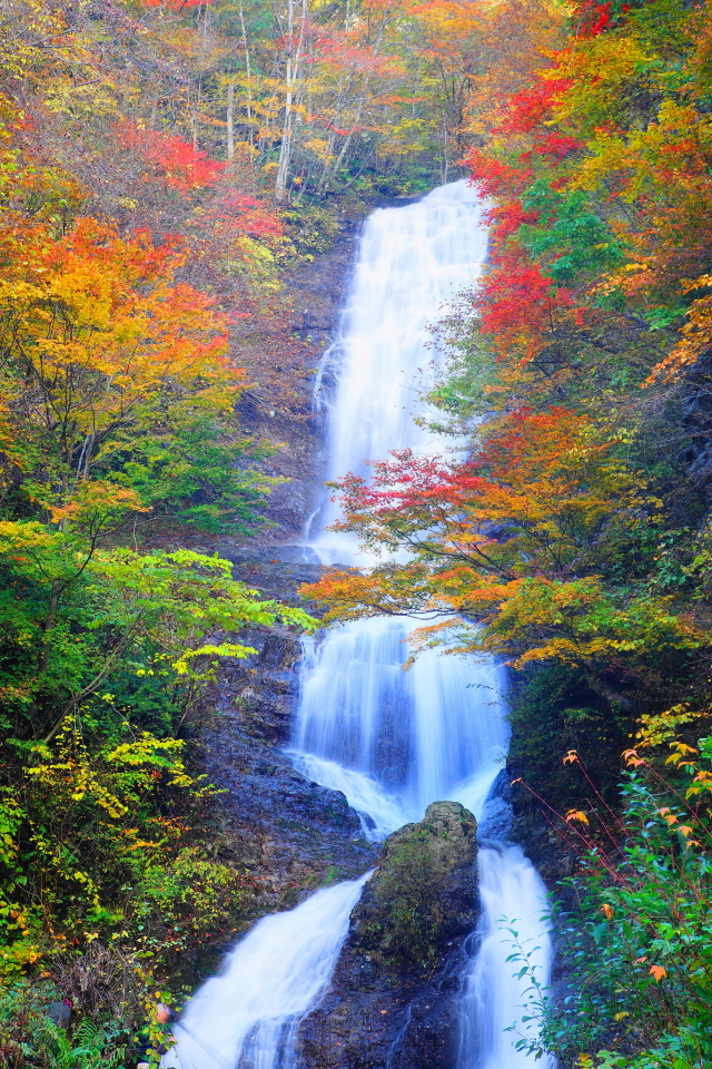 紅葉の唐沢の滝