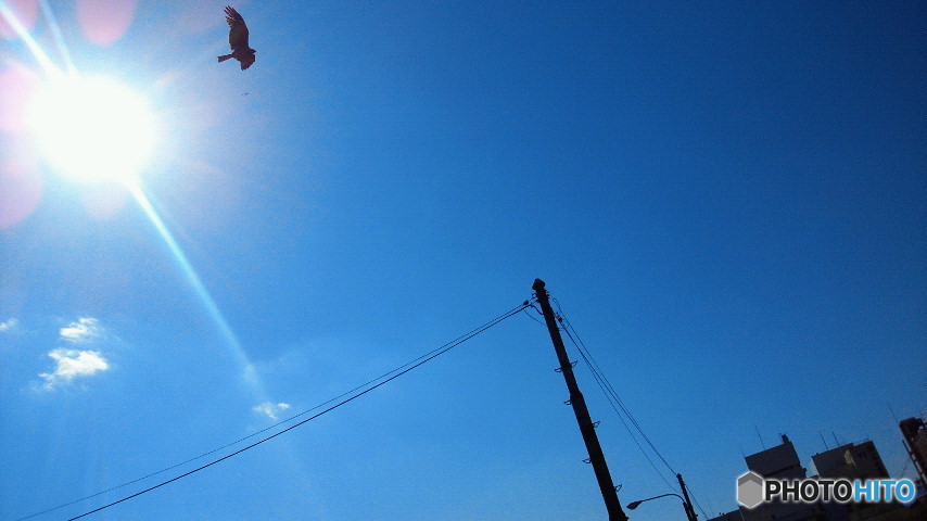 鳶＠出町柳の上空