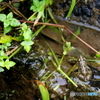 水分補給