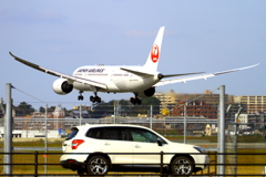 JAL 降ります