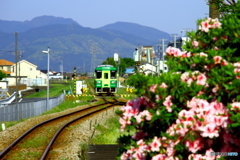 春の陽気