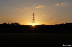 夕陽を浴びて