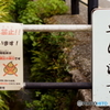 共存