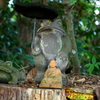 かえる寺