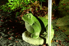 何回目の秋