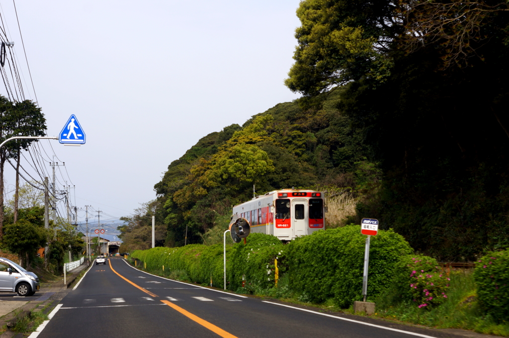 トコトコ行く