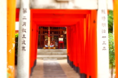さあ！どうぞ