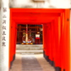 さあ！どうぞ