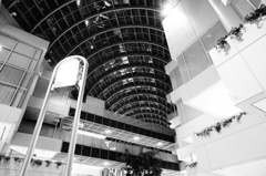 たまには上を見てみよう！