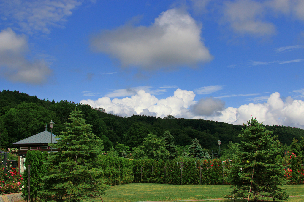 夏来たりし