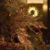 クリスマスの夜