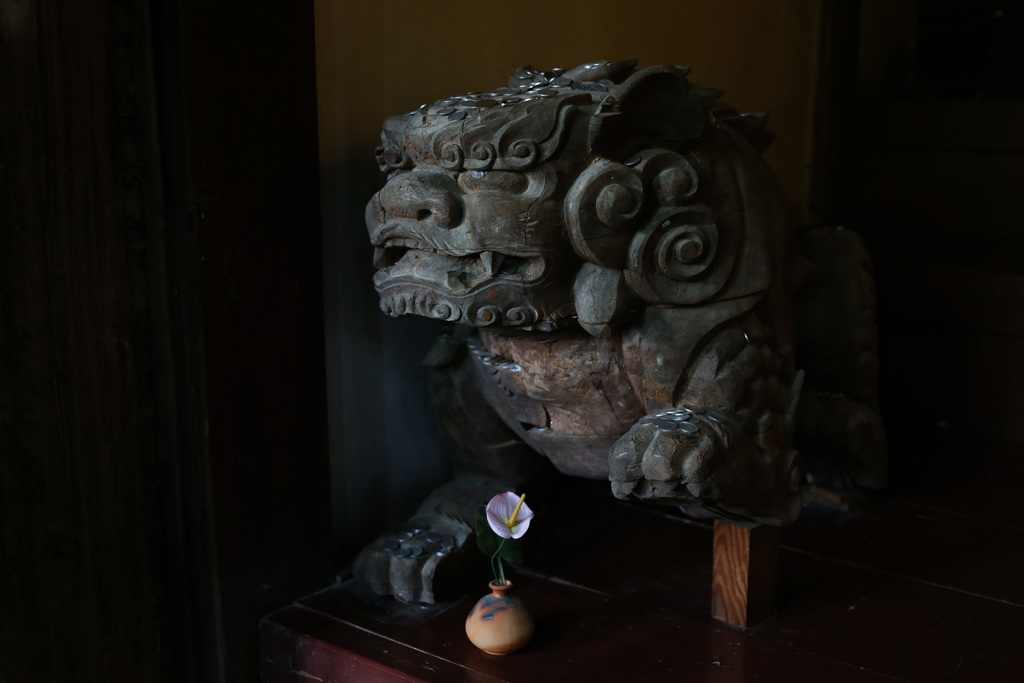 一輪の花