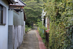 島の小道