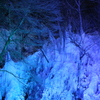 尾ノ内渓谷の氷柱②