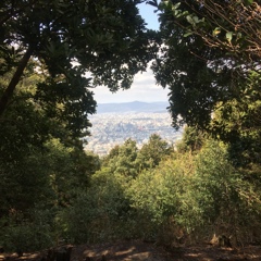 窓  京都市内を望む