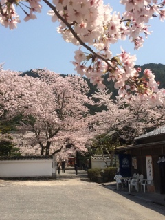 京都山科 毘沙門堂
