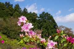 IMGP0969-R