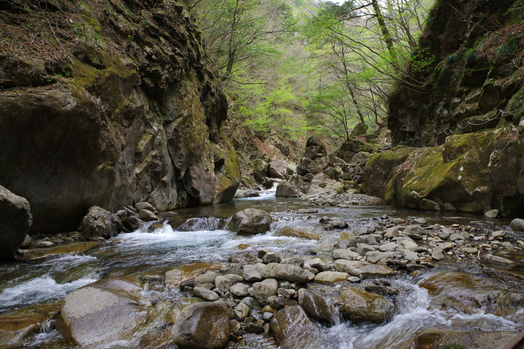 IMGP1108-R