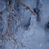 氷柱