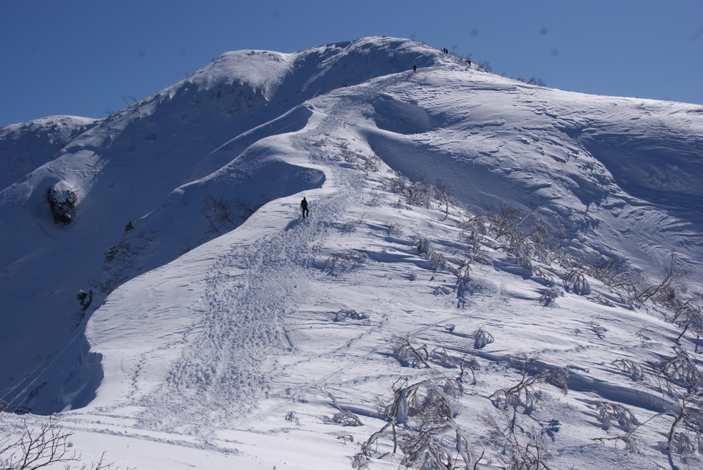 日本百名山　雪の荒島岳