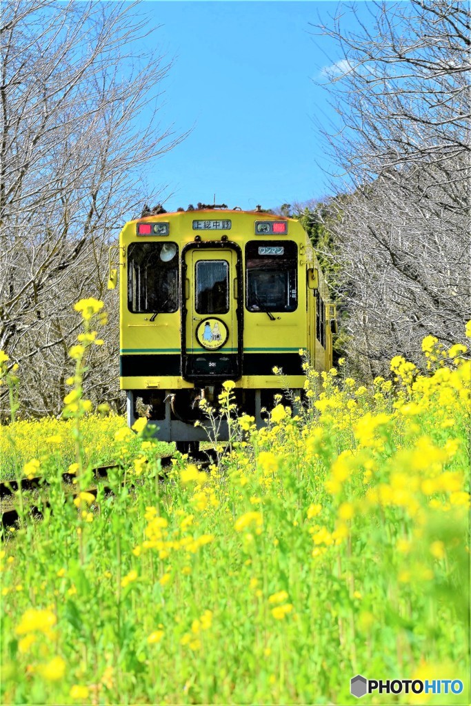 いすみ.鉄道2