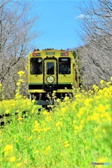 いすみ.鉄道2