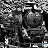 津和野Ｄ５１